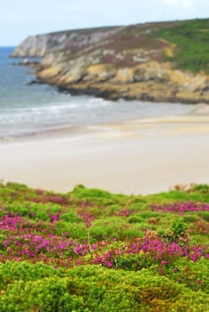 Atlantic coast in Brittany