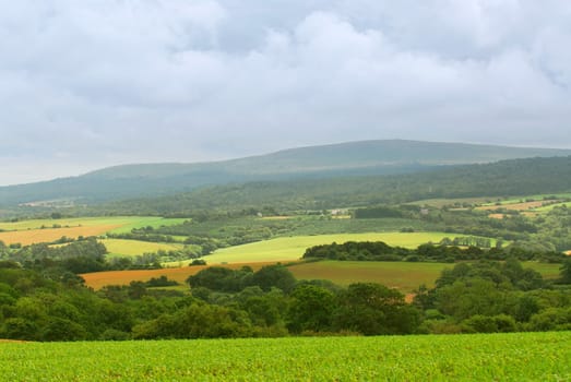Agricultural landscape
