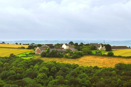 Agricultural landscape