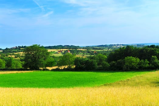 Rural landscape