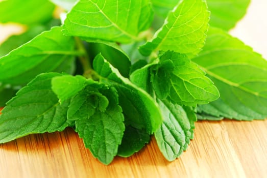Mint sprigs