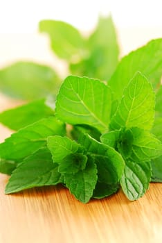 Mint sprigs