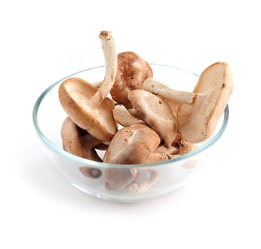 Shiitake mushrooms