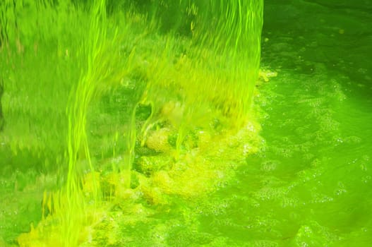 Fluorescein