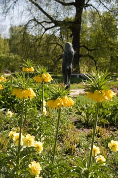 Flowers and statue