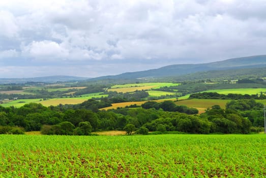 Agricultural landscape