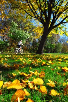 Fall park