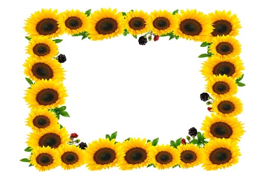 Sunflower Frame