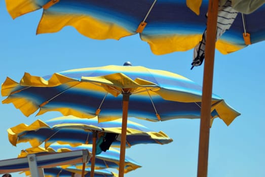 Mare Mare 425