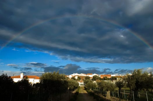 Rainbow