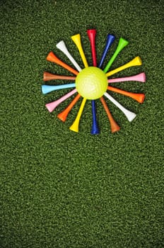 golf tee daisy
