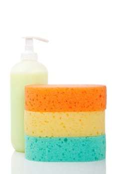 Soap dispenser and sponges