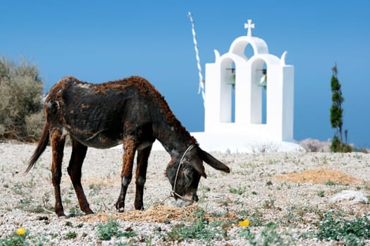 Typical view from Santorini