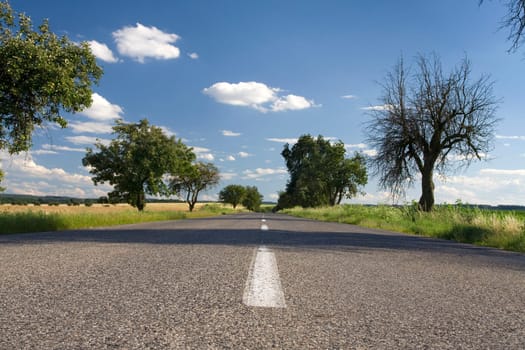 Road