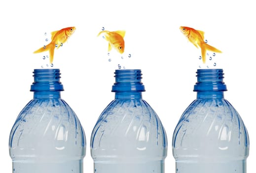 Jump into the bottle