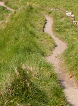 Path