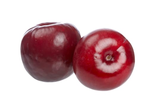 Two fresh plums