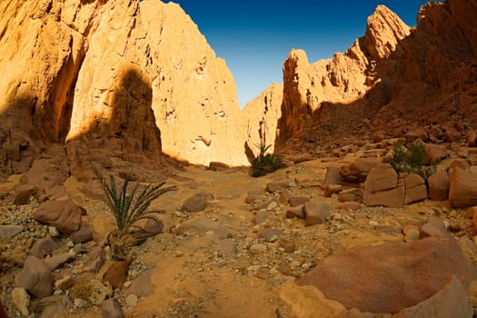 Desert,Sinai,Egypt,Africa,Wadi,Can