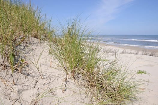 Sand dune on Wangerooge