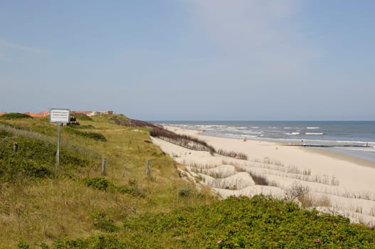 Dune conservation area on Wangerooge