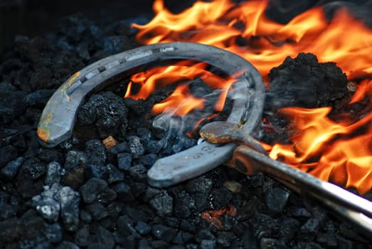 horseshoe
