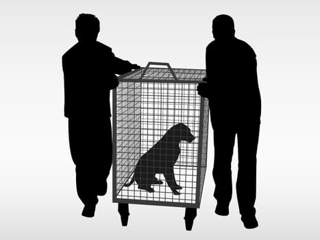 The dog catchers