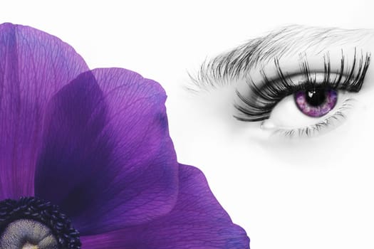 Purple eye