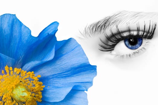 Woman blue eyes