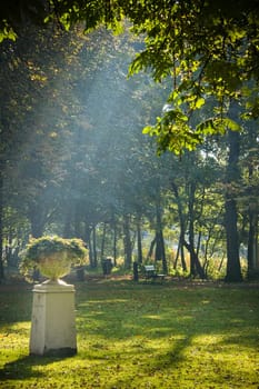 Ornament in park in autumn