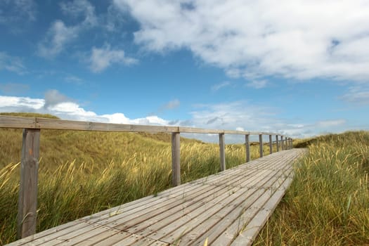 Dune Path