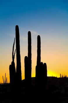 sunset in the desert