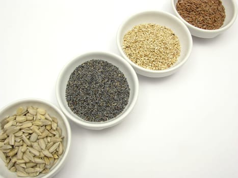 Four trays with different seeds