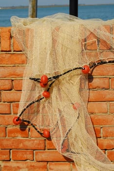 The Fishing Net