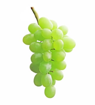 Grapes