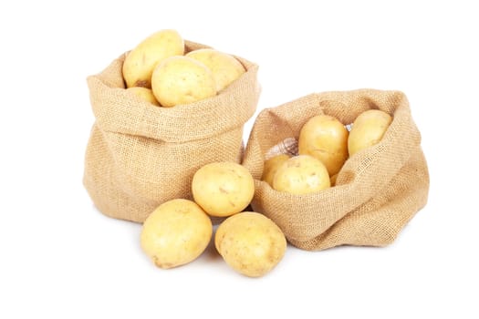 Two burlap sacks with potatoes
