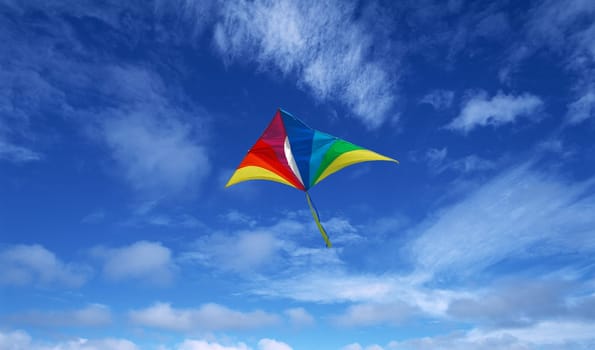 Kite on sky