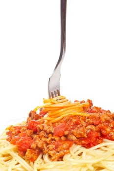 Rolled spaghetti on a fork