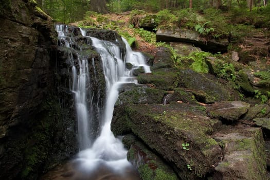 Pure nature