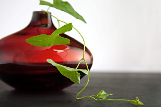 red vase
