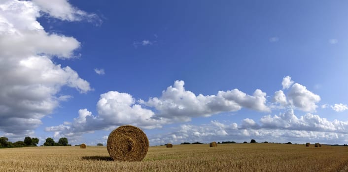 Panorama of a harvested grain field with straw bales