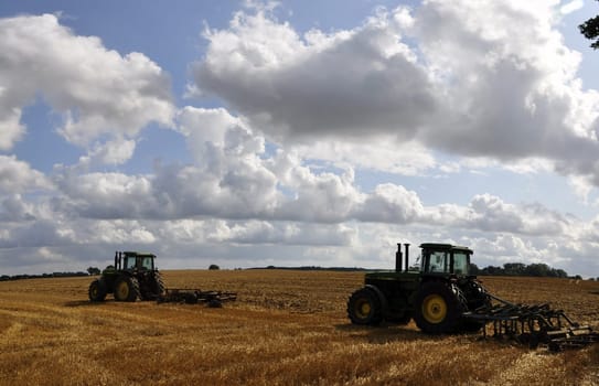 Harvested field with round bales