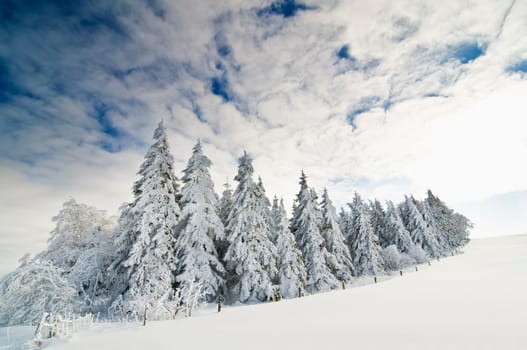 Winter200901