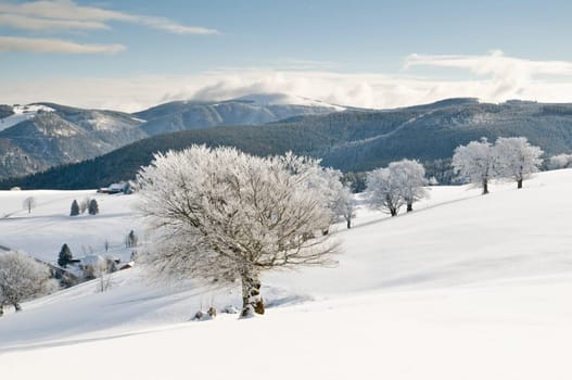 Winter200901