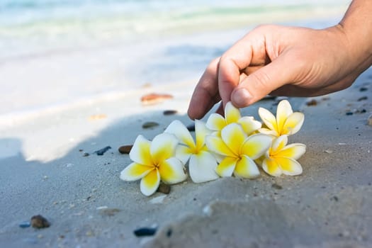 Flowers on the beach