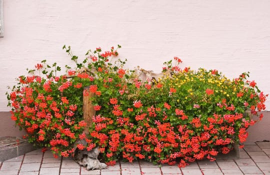 Typical floral adornments in Austria