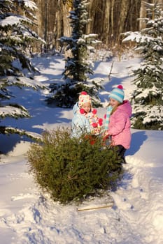 Children pulling a tree