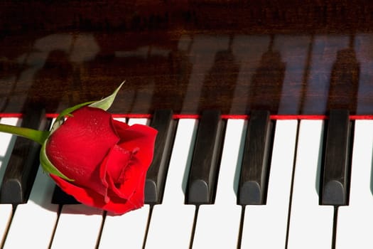 Rose on piano