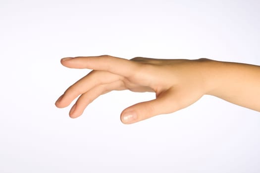 A woman's hand