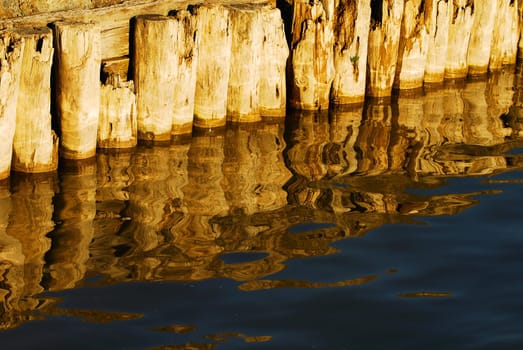 The water