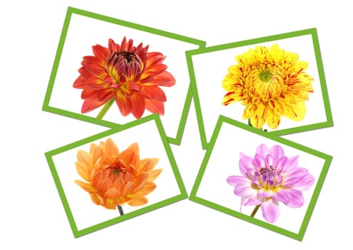 Flower Collage